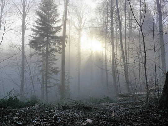 kloster_wernberg_tage_in_stille